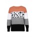Women Color Block   Leopard Round Neck Long Sleeve Casual Sweaters